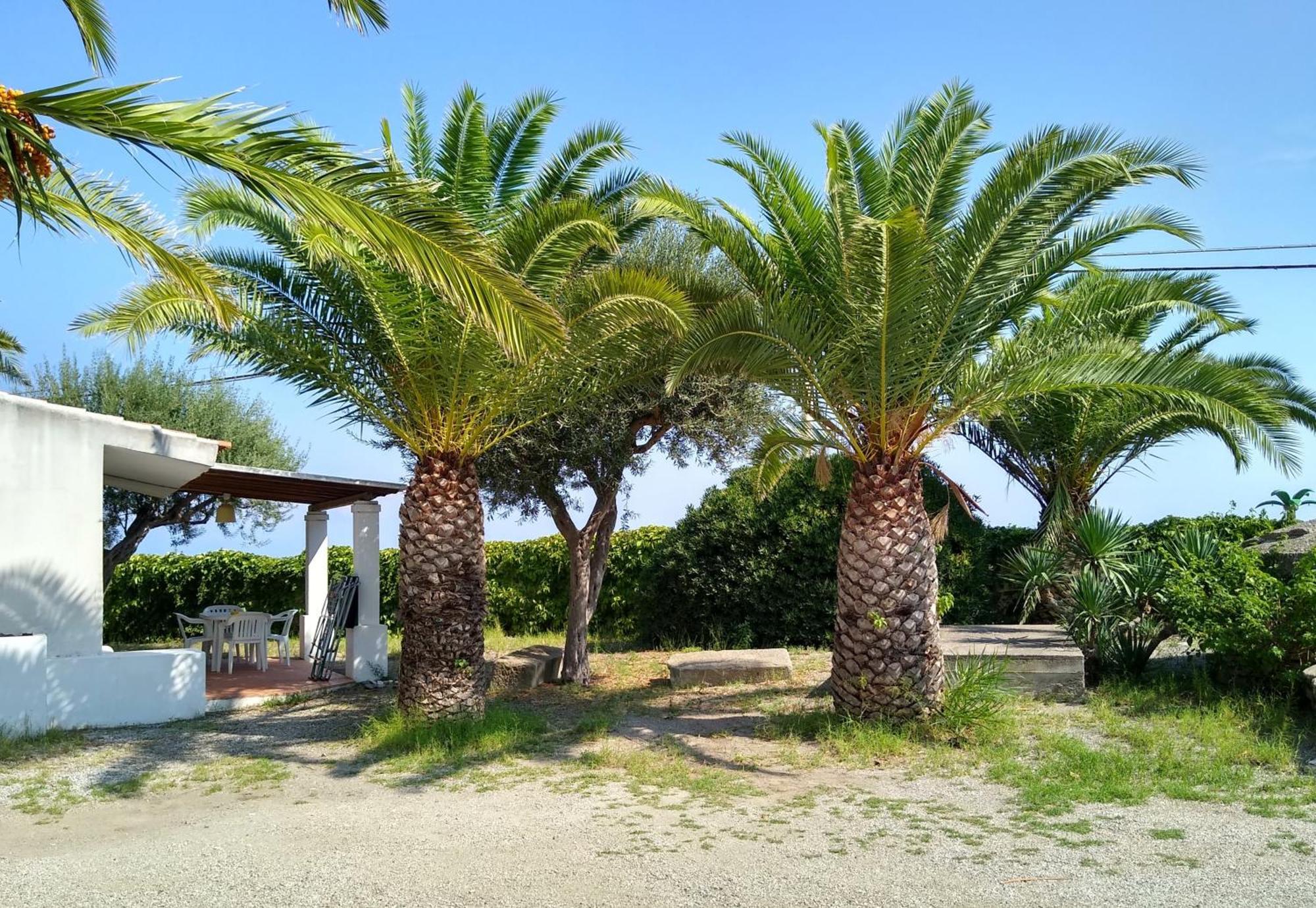 Il Cicero Campingplatz 2*